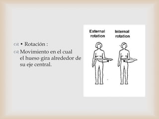  • Rotación :
 Movimiento en el cual
el hueso gira alrededor de
su eje central.
 