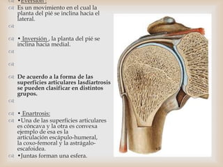  •Eversión :
 Es un movimiento en el cual la
planta del pié se inclina hacia el
lateral.

 • Inversión , la planta del pié se
inclina hacia medial.


 De acuerdo a la forma de las
superficies articulares lasdiartrosis
se pueden clasificar en distintos
grupos.

 • Enartrosis:
 •Una de las superficies articulares
es cóncava y la otra es convexa
ejemplo de esa es la
articulación escápulo-humeral,
la coxo-femoral y la astrágalo-
escafoidea.
 •Juntas forman una esfera.
 