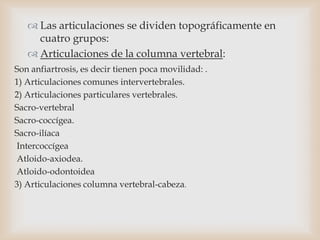  Las articulaciones se dividen topográficamente en
cuatro grupos:
 Articulaciones de la columna vertebral:
Son anfiartrosis, es decir tienen poca movilidad: .
1) Articulaciones comunes intervertebrales.
2) Articulaciones particulares vertebrales.
Sacro-vertebral
Sacro-coccígea.
Sacro-ilíaca
Intercoccígea
Atloido-axiodea.
Atloido-odontoidea
3) Articulaciones columna vertebral-cabeza.
 