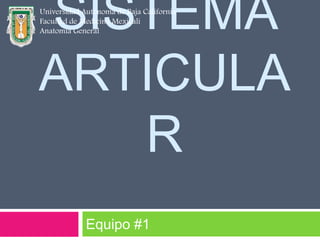 Universidad SISTEMA 
Autónoma de Baja California 
Facultad de Medicina Mexicali 
Anatomía General 
ARTICULA 
R 
Equipo #1 
 