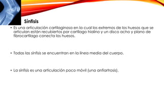 • Es una articulación cartilaginosa en la cual los extremos de los huesos que se
articulan están recubiertos por cartílago hialino y un disco acho y plano de
fibrocartílago conecta los huesos.
• Todas las sínfisis se encuentran en la línea media del cuerpo.
• La sínfisis es una articulación poco móvil (una anfiartrosis).
Sínfisis
 