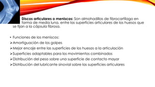 • Discos articulares o meniscos: Son almohadillas de fibrocartílago en
forma de media luna, entre las superficies articulares de los huesos que
se fijan a la cápsula fibrosa.
• Funciones de los meniscos:
Amortiguación de los golpes
Mejor encaje entre las superficies de los huesos a la articulación
Superficies adaptables para los movimientos combinados
Distribución del peso sobre una superficie de contacto mayor
Distribución del lubricante sinovial sobre las superficies articulares
 