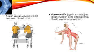 • Flexión lateral: Movimiento del
tronco en plano frontal
• Hiperextensión (hypér-.excesivo) es
la continuación de la extensión más
allá de la posición anatómica.
 