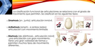 • La clasificación funcional de articulaciones se relaciona con el grado de
-- movimiento que permiten. Se clasifican en los siguientes tipos:
o Sinartrosis (sn-, junto): articulación inmóvil.
o Anfiartrosis (amphí-, a ambos lados):
articulación con movimiento limitado
o Diartrosis (de diárthrosis-, articulación móvil):
una articulación con gran movimiento.
Tiene una gran variedad de formas y
permiten muchos tipos de movimiento
diferentes.
 