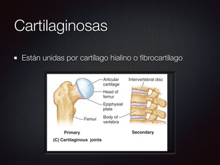 Cartilaginosas
Están unidas por cartílago hialino o ﬁbrocartilago
ematic model Knee joint
cartilage
Tibia
Infrapatellar
fat pad
(C) Cartilaginous joints
Primary
yndesmosis
ous
e
Articular
cartilage
Intervertebral disc
Secondary
Head of
femur
Epiphysial
plate
Body of
vertebra
Femur
 