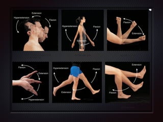 (a) Atlanto-occipital and cervical
intervertebral joints
(b) Shoulder joint (c) Elbow joint
(d) Wrist joint (e) Hip joint (f) Knee joint
Flexion
Flexion
Flexion
Extension
Extension
Extension
Extension
Hyperextension
Hyperextension
Flexion
Flexion
Flexion
Extension
Extension
Hyperextension
Hyperextension
following are examples of ﬂexion (as you have probably alread
guessed, extension is simply the reverse of these movements):
Figure 9.5 Angular movements at synovial joints—ﬂexion, extension, hyperextension, and lateral ﬂexion.
In angular movements, there is an increase or decrease in the angle between articulating bones.
 