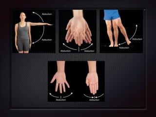 (a) Shoulder joint (b) Wrist joint (c) Hip joint
(d) Metacarpophalangeal joints of the fingers (not the thumb)
Abduction Adduction
Abduction
Adduction
Abduction Adduction
Abduction
Adduction
Figure 9.6 Angular movements at synovial joints—abduction and adduction.
Abduction and adduction usually occur along the frontal plane.
Is considering adduction as “adding your limb to your trunk” an effective learning device??
 