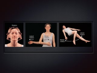 (a) Atlanto-axial joint
Rotation
Lateral
rotation
Medial
rotation
Medial
rotation
Lateral
rotation
(c) Hip joint(b) Shoulder joint
adduction. Therefore, circumduction does not occur along a
separate axis or plane of movement. Examples of circumduction
are moving the humerus in a circle at the shoulder joint (Figure
9.7a), moving the hand in a circle at the wrist joint, moving the
thumb in a circle at the carpometacarpal joint, moving the ﬁn-
gers in a circle at the metacarpophalangeal joints (between the
Another is turning the trunk from side to side at the in
bral joints while keeping the hips and lower limbs in the
ical position. In the limbs, rotation is deﬁned relativ
midline, and speciﬁc qualifying terms are used. If the
surface of a bone of the limb is turned toward the mid
movement is called medial (internal) rotation. You can m
Figure 9.8 Rotation at synovial joints.
In rotation, a bone revolves around its own longitudinal axis.
How do medial and lateral rotation differ??
 