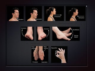 Elevation
Temporomandibular joint(a)
Depression
(b) Temporomandibular joint(c) (d)
Protraction
Retraction
(e) (f)
Inversion
Eversion
Intertarsal joints (g) Ankle joint
Dorsiflexion
Plantar
flexion
Palm
posterior
Palm
anterior Opposition
(h) Radioulnar joint (i) Carpometacarpal joint
Pronation Supination
Figure 9.9 Special movements at synovial joints.
Special movements occur only at certain synovial joints.
What movement of the shoulder girdle occurs when you bring your arms forward until the elbows touch??
 