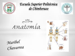 Escuela Superior Politécnica
de Chimborazo
 