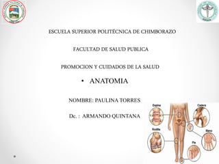 ESCUELA SUPERIOR POLITÉCNICA DE CHIMBORAZO
FACULTAD DE SALUD PUBLICA
PROMOCION Y CUIDADOS DE LA SALUD
• ANATOMIA
NOMBRE: PAULINA TORRES
Dc. : ARMANDO QUINTANA
 