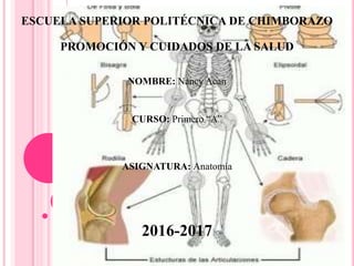 ESCUELA SUPERIOR POLITÉCNICA DE CHIMBORAZO
PROMOCIÓN Y CUIDADOS DE LA SALUD
NOMBRE: Nancy Acan
CURSO: Primero “A”
ASIGNATURA: Anatomía
2016-2017
 