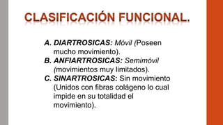 A. DIARTROSICAS: Móvil (Poseen
mucho movimiento).
B. ANFIARTROSICAS: Semimóvil
(movimientos muy limitados).
C. SINARTROSICAS: Sin movimiento
(Unidos con fibras colágeno lo cual
impide en su totalidad el
movimiento).
 