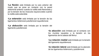 •La flexión está limitada por la cara anterior del
muslo que se pone en contacto con la pared
abdominal anterior cuando la rodilla está flexionada y
por la tensión de los músculos isquiocrurales cuando
la rodilla está extendida
•La extensión está limitada por la tensión de los
ligamentos iliofemoral pubofemoral isquiofemoral.
•La abducción está limitada por la tensión del
ligamento pubofemoral.
•la aducción está limitada por el contacto con
los mundos opuestos y la tensión en los
ligamentos de la cabeza del fémur.
•La rotación medial está limitada por la tensión
del ligamento isquiofemoral.
•la rotación lateral está limitada por la atención
de los ligamentos iliofemoral y pubofemoral.
 