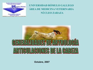 UNIVERSIDAD RÓMULO GALLEGO
ÁREA DE MEDICINA VETERINARIA
NÚCLEO ZARAZA
Octubre, 2007
 