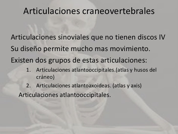 Ligamentos accesorios de las articulaciones intervertebrales:<br /><ul><li>Un Ancho tejido fibroso, elástico de color amar...