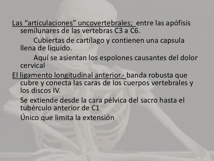 Los discos son el 20–25 % de la altura de la columna