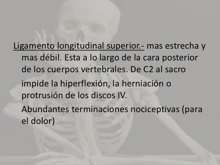 Composición de los discos IV:<br /><ul><li>Anillo fibroso.- compuesto por laminas de fibrocartílago y forma la circunferen...