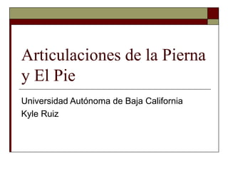 Articulaciones de la Pierna
y El Pie
Universidad Autónoma de Baja California
Kyle Ruiz
 