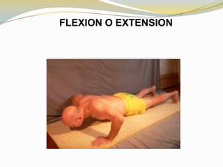 FLEXION O EXTENSION

 