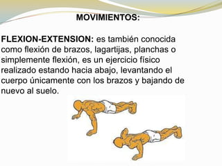 MOVIMIENTOS:
FLEXION-EXTENSION: es también conocida
como flexión de brazos, lagartijas, planchas o
simplemente flexión, es un ejercicio físico
realizado estando hacia abajo, levantando el
cuerpo únicamente con los brazos y bajando de
nuevo al suelo.

 