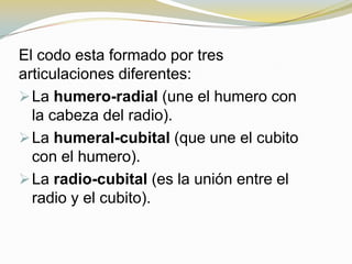El codo esta formado por tres
articulaciones diferentes:
 La humero-radial (une el humero con
la cabeza del radio).
 La humeral-cubital (que une el cubito
con el humero).
 La radio-cubital (es la unión entre el
radio y el cubito).

 