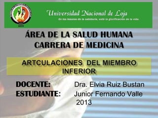 DOCENTE: Dra. Elvia Ruiz Bustan
ESTUDIANTE: Junior Fernando Valle
2013
 