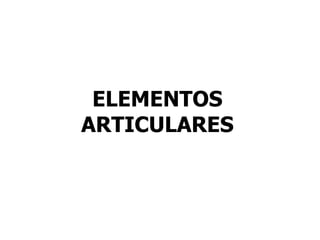ELEMENTOS
ARTICULARES
 