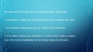 El codo está formado por tres articulaciones diferentes:
• la humero-radial que une el húmero con la cabeza del radio
• la humeral-cubital que une el cúbito con el humero,
• y la radio-cubital que establece la unión entre radio y cubito.
Las tres están englobadas en la misma cápsula articular.
 