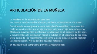 ARTICULACIÓN DE LA MUÑECA
La muñeca es la articulación que une
los huesos cúbito y radio al carpo, es decir, el antebrazo y la mano.
Considerada en conjunto, es una articulación condilea, pues permite
realizar movimientos en un eje transversal y en un eje anteroposterior.
Efectuará movimientos de flexión y extensión en el primero de los ejes,
y movimientos de inclinación radial o cubital en el segundo de los ejes.
De la suma de los movimientos en torno a esos ejes, se puede realizar
la circunducción. No es posible realizar rotación.
En realidad está compuesta por tres articulaciones:
 