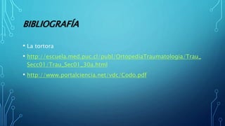 BIBLIOGRAFÍA
• La tortora
• http://escuela.med.puc.cl/publ/OrtopediaTraumatologia/Trau_
Secc01/Trau_Sec01_30a.html
• http://www.portalciencia.net/vdc/Codo.pdf
 