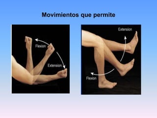 Movimientos que permite
 