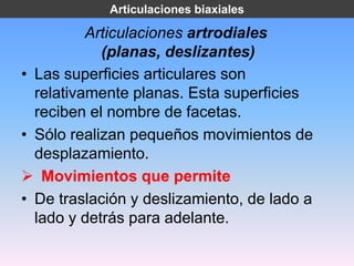 Articulaciones biaxiales

          Articulaciones artrodiales
            (planas, deslizantes)
• Las superficies articulares son
  relativamente planas. Esta superficies
  reciben el nombre de facetas.
• Sólo realizan pequeños movimientos de
  desplazamiento.
 Movimientos que permite
• De traslación y deslizamiento, de lado a
  lado y detrás para adelante.
 