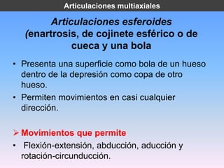 Articulaciones multiaxiales

       Articulaciones esferoides
  (enartrosis, de cojinete esférico o de
            cueca y una bola
• Presenta una superficie como bola de un hueso
  dentro de la depresión como copa de otro
  hueso.
• Permiten movimientos en casi cualquier
  dirección.

 Movimientos que permite
• Flexión-extensión, abducción, aducción y
  rotación-circunducción.
 
