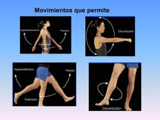 Movimientos que permite
 