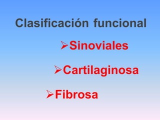 Clasificación funcional
       Sinoviales

      Cartilaginosa

     Fibrosa
 