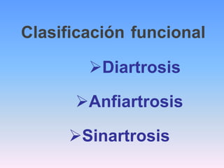 Clasificación funcional

        Diartrosis

      Anfiartrosis

     Sinartrosis
 