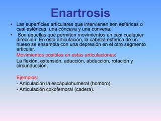 Enartrosis
• Las superficies articulares que intervienen son esféricas o
  casi esféricas, una cóncava y una convexa.
• Son aquellas que permiten movimientos en casi cualquier
  dirección. En esta articulación, la cabeza esférica de un
  hueso se ensambla con una depresión en el otro segmento
  articular.
  Movimientos posibles en estas articulaciones:
  La flexión, extensión, aducción, abducción, rotación y
  circunducción.

  Ejemplos:
  - Articulación la escápulohumeral (hombro).
  - Articulación coxofemoral (cadera).
 