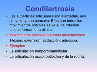 Condilartrosis
• Las superficies articulares son alargadas, una
  convexa y una cóncava. Efectúan todos los
  movimientos posibles salvo el de rotación.
  unidas forman una elipse.
• Movimientos posibles en estas articulaciones
  Flexión, extensión, abducción, aducción.
• Ejemplos
- La articulación temporomandibular,
- La articulación occipitoatloidea y de la rodilla.
 
