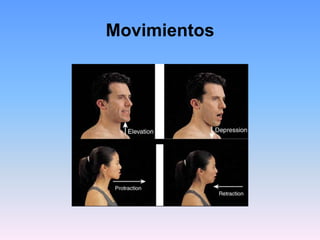 Movimientos
 
