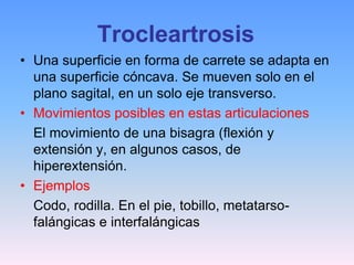 Trocleartrosis
• Una superficie en forma de carrete se adapta en
  una superficie cóncava. Se mueven solo en el
  plano sagital, en un solo eje transverso.
• Movimientos posibles en estas articulaciones
  El movimiento de una bisagra (flexión y
  extensión y, en algunos casos, de
  hiperextensión.
• Ejemplos
  Codo, rodilla. En el pie, tobillo, metatarso-
  falángicas e interfalángicas
 