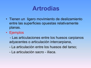 Artrodias
• Tienen un ligero movimiento de deslizamiento
  entre las superficies opuestas relativamente
  planas.
• Ejemplos
  - Las articulaciones entre los huesos carpianos
  adyacentes o articulación intercarpiana,
  - La articulación entre los huesos del tarso;
  - La articulación sacro - iliaca.
 