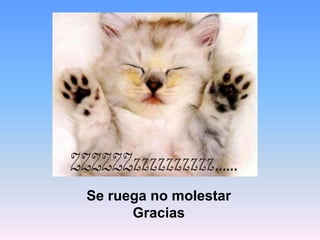 Se ruega no molestar
      Gracias
 