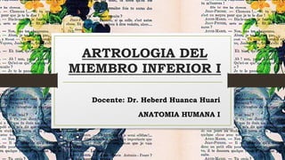 ARTROLOGIA DEL
MIEMBRO INFERIOR I
Docente: Dr. Heberd Huanca Huari
ANATOMIA HUMANA I
 