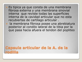 EXTENSIÓNFLEXIÓNTendón RotulianoRÓTULAMENISCOLIGAMENTOCOLATERALINTERNO