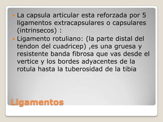 ART. de la RODILLARÓTULACÁPSULAARTICULARARTERIA POPLÍTEAVENAS POPLÍTEASVENA SAFENA INT.NERVIO CIATICO    POPLÍTEO INT.NERVIO TIBIALEPÍFISIS DISTALFÉMUR