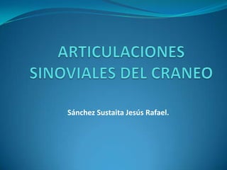 Sánchez Sustaita Jesús Rafael.
 
