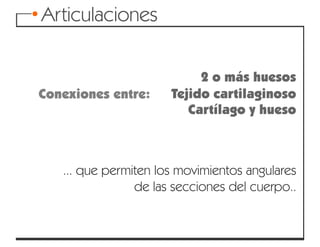 Articulaciones y movimientos