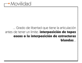 Articulaciones y movimientos