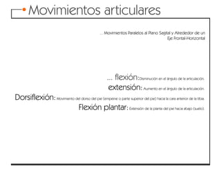 Articulaciones y movimientos